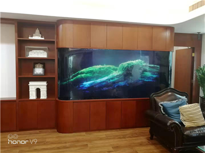 淡水風(fēng)水魚(yú)缸