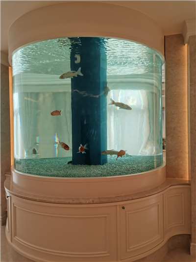 怎么清洗大型魚(yú)缸